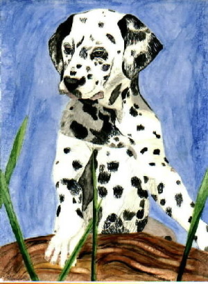 Bild 11