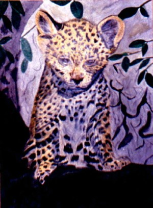 Bild 12